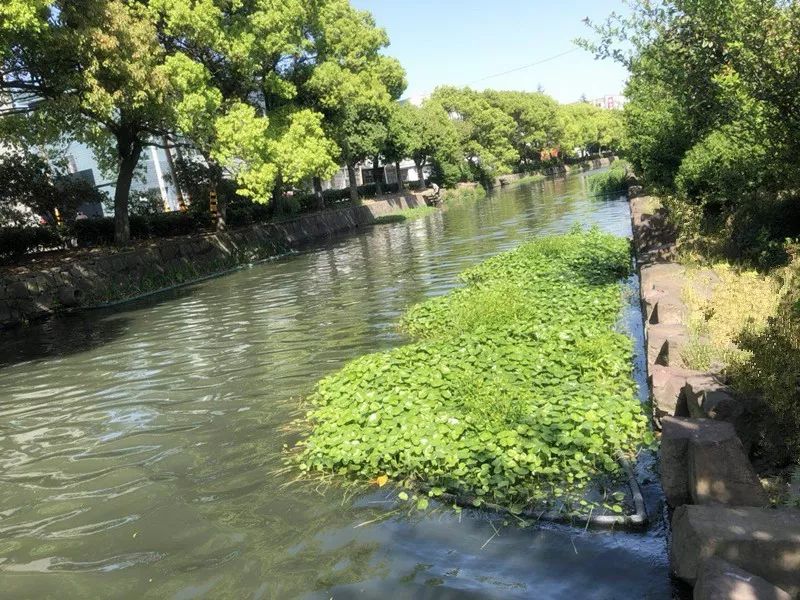 便攜式水質檢測儀用于檢測河流水質