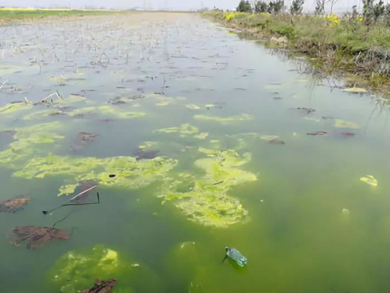 水質檢測分析儀可用于什么地方 水質檢測分析儀可用于什么地方