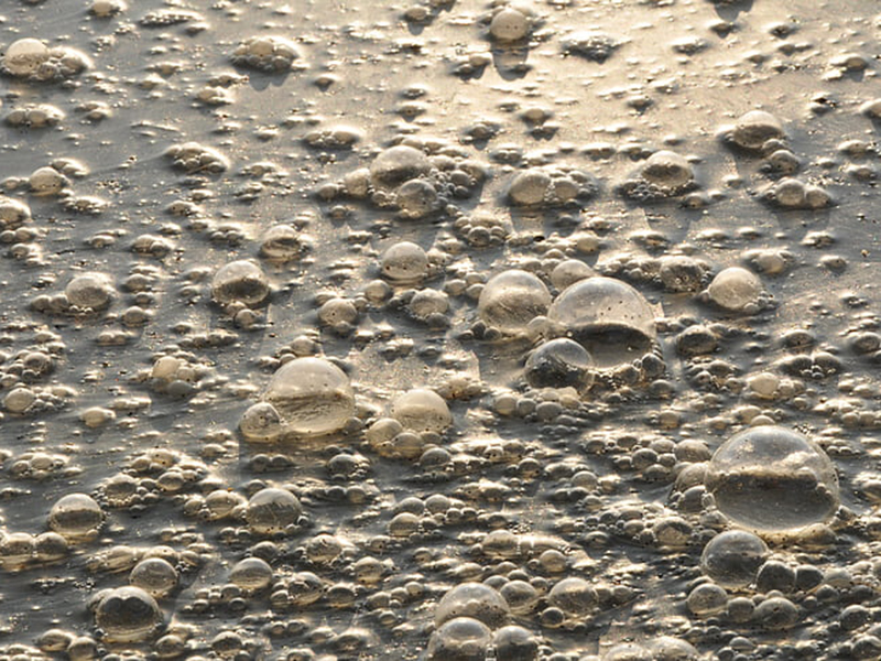 哪款設(shè)備可以精準(zhǔn)檢測(cè)水中的氨氮含量