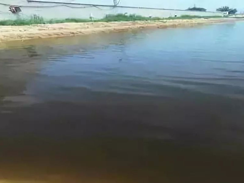 生物毒性檢測(cè)儀用于神經(jīng)毒劑的毒性檢測(cè)