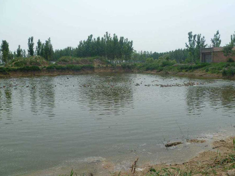 水產養殖檢測儀測定魚塘氨氮含量