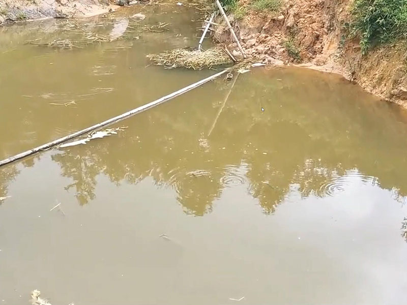 魚塘的水變臭是什么原因引起的？要怎么解決