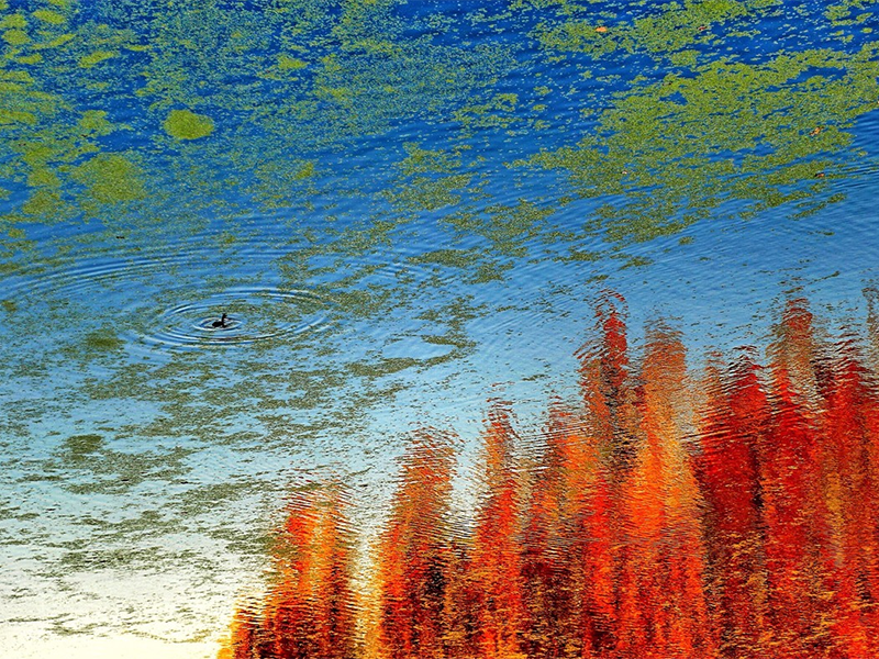 水質