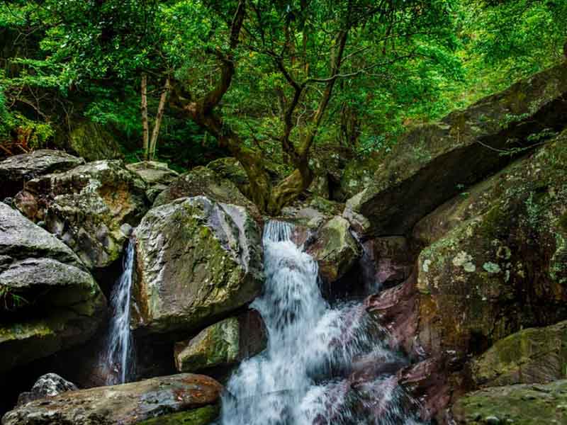 水質石油類檢測用什么采樣器