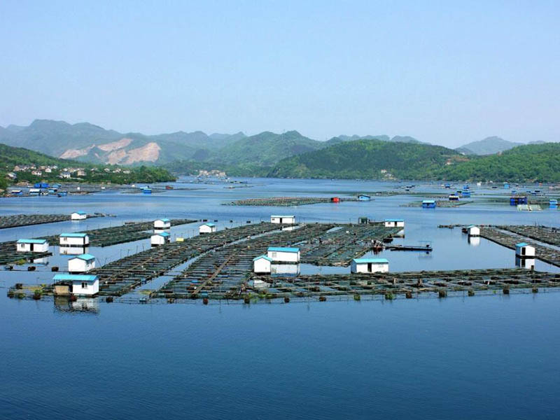污水總磷排放標準是多少 污水總磷排放標準是多少