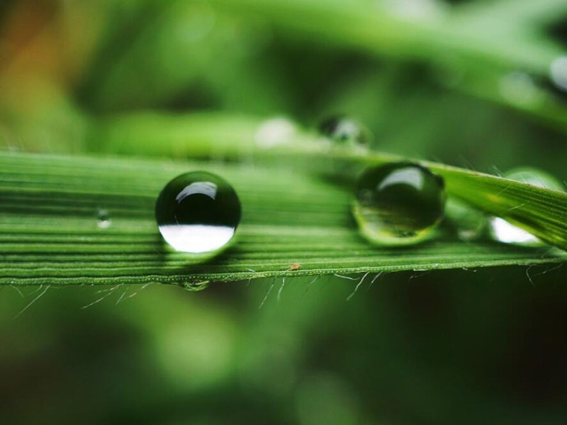 水質檢測的基本要求