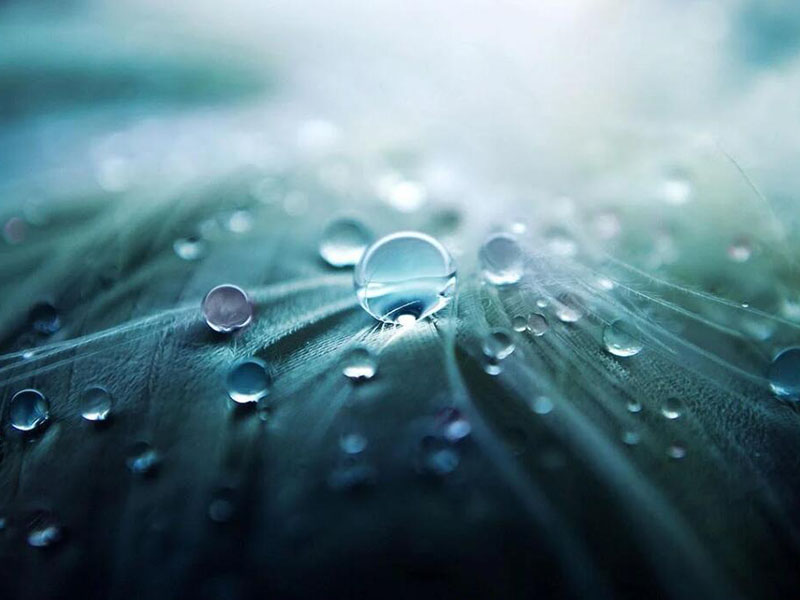 氨氮檢測儀正確使用流程