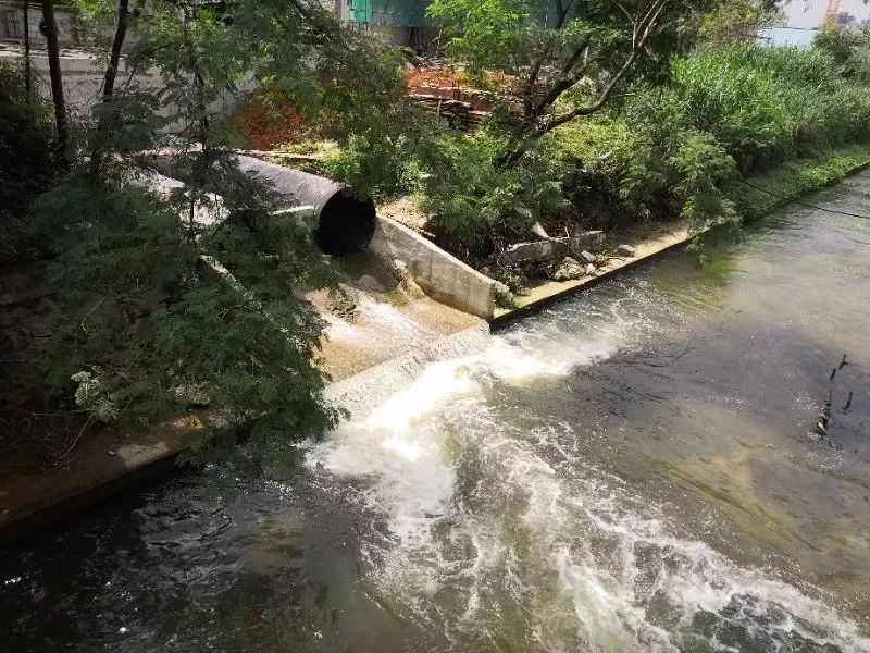 水中的污泥濃度對養殖有怎樣的影響