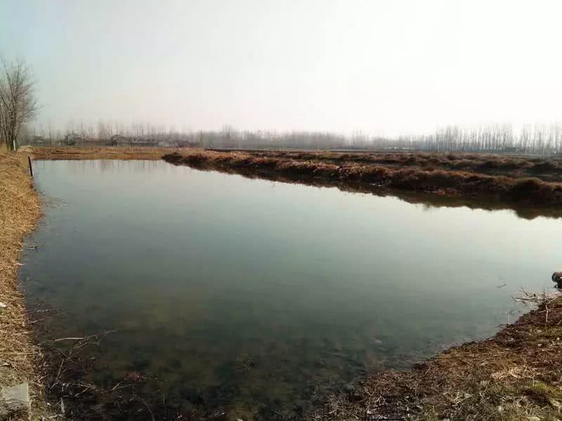 檢測蝦塘水質(zhì)中的溶解氧,需要哪款設(shè)備 檢測蝦塘水質(zhì)中的溶解氧,需要哪款設(shè)備