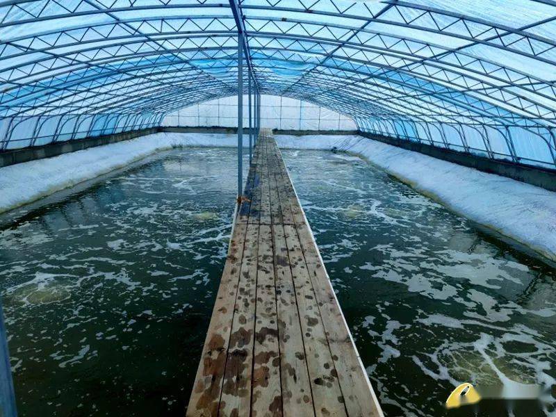 水質(zhì)中的生物毒性怎么檢測(cè)